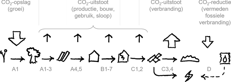 Levenscyclus van hout dat aan het einde wordt verbrand: CO₂-opslag tijdens de groei (A1), CO₂-uitstoot bij productie, bouw, gebruik en sloop (A1-3 tot en met C1,2), CO₂-uitstoot bij verbranding (C3,4) en CO₂-reductie door vermeden fossiele verbranding (D).